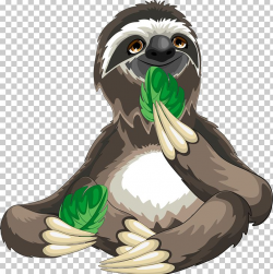 Download for free 10 PNG Sloth clipart animal top images at ...
