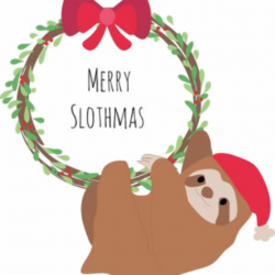 Live.Wild.Animal Exhibition: Santa Brings a Sloth 2.0 ...