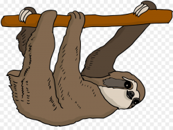 Cartoon Cartoon clipart - Sloth, Drawing, Hand, transparent ...
