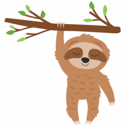 Sloth in Tree - slothintree50cents0419