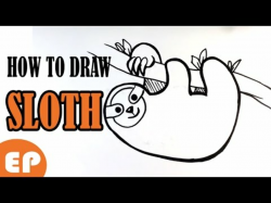 How to Draw a Sloth (Cute) - Easy Pictures to Draw