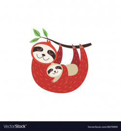 Female sloth with little bahanging on branch