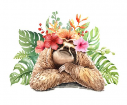 Watercolor sloth with tropical flower bouquet. - Download ...