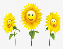 Sunflower, Smile, Sunflower Vector PNG Transparent Clipart Image and ...