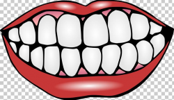 Human Tooth Mouth Smile PNG, Clipart, Clip Art, Deciduous Teeth ...