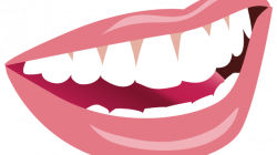 50+ Teeth Clipart | ClipartLook