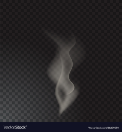 Delicate cigarette smoke waves on transparent