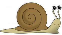 Free Snail Cliparts, Download Free Clip Art, Free Clip Art ...