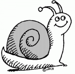 Snail clip art black and white free clipart images ...