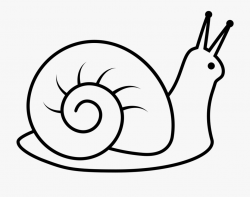 Snail Drawing Png - Black And White Snail Clipart #1586240 ...