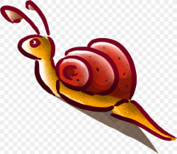 Gastropods Snail Caracol Clip Art, PNG, 1483x1295px ...