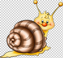 Drawing Caracol , Snail PNG clipart | free cliparts | UIHere