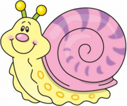 0 images about bugs snails on clip art - Clipartix