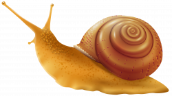 Snail PNG Clip Art - Best WEB Clipart