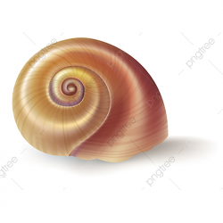 Download for free 10 PNG Snail clipart realistic top images ...