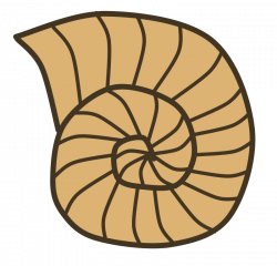 Free Clipart: Snail Shell | Scout