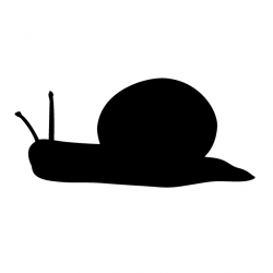 Snail | Animal silhouette | Free illustrations