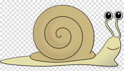 snails and slugs snail sea snail clip art slug clipart ...