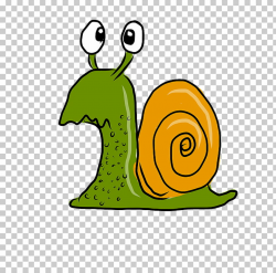 Snail racing Schnecken Slug , Snail PNG clipart | free ...