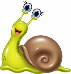 Snails and slugs,Snail,Slug,Molluscs,Sea snail,Clip art ...