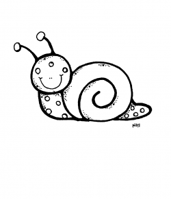 29 Best Snail clip art images | Snail, Clip art, Art