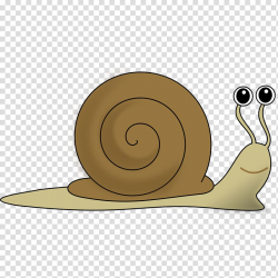 Snail , Snail transparent background PNG clipart | HiClipart