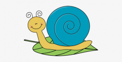 Cliparts Similar To Snail Clipart Transparent - Snail Clip ...