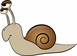 Snail Animation Clip art - snails png download - 1787*1303 ...