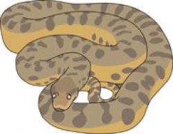 Search Results for anaconda snake - Clip Art - Pictures ...