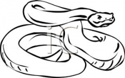 Outline of An Angry Snake - Royalty Free Clipart Picture