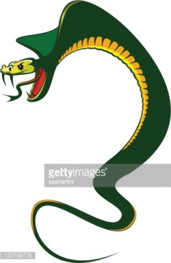Angry snake Clipart Image | +1,566,198 clip arts