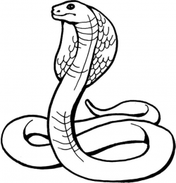 Snake black and white black and white drawings of snake ...