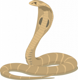 Free Cobra Cliparts, Download Free Clip Art, Free Clip Art ...
