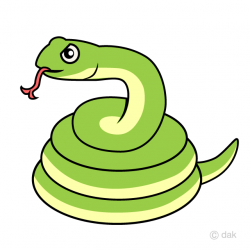 Free Snake Coil Side Clipart Image｜Illustoon