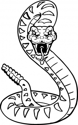 Free Snake Drawing, Download Free Clip Art, Free Clip Art on ...