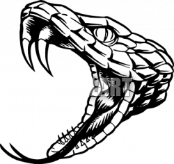 Snake Head Clip Art Clipart | Snake drawing, Snake art ...