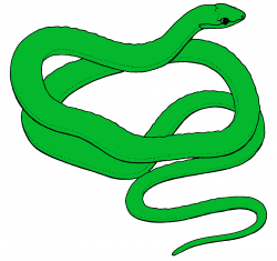 Green long snake clipart free image