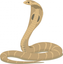Realistic Snake Cliparts Free Download Clip Art - WebComicms.Net