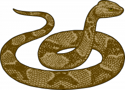 Free Realistic Snake Cliparts, Download Free Clip Art, Free ...