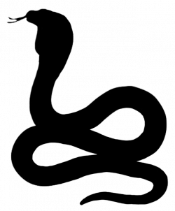 snake silhouette | Silhouette clip art, Animal silhouette, Art