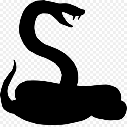 Sea Bird clipart - Snakes, Silhouette, Line, transparent ...