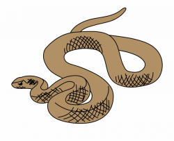 Vector Graphics Brown Tree Snake Clip Art - Clip Art Library