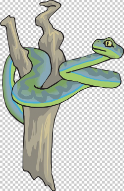 Brown Tree Snake PNG, Clipart, Amphibian, Animals, Art ...