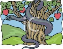 A Serpent Coiled Around the Tree of Knowledge - Royalty Free ...