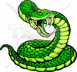Viper or Coiled Snake Body Vector Clipart Image - Team Clipart
