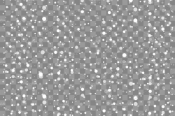 Snow transparent background