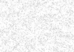 Snow PNG Images Transparent Free Download | PNGMart.com