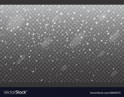 Snow realistic on transparent backdrop falling