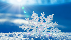 21+ Snowflake Cliparts - JPG, AI Illustrator Download