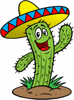 cactus #greencactus #sombrero #mexicansombrero #gorra ...